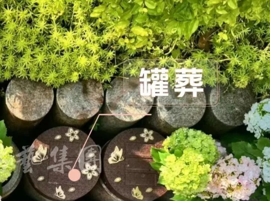 BC贷·(中国游)官方网站