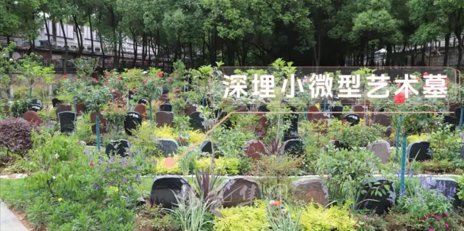 BC贷·(中国游)官方网站