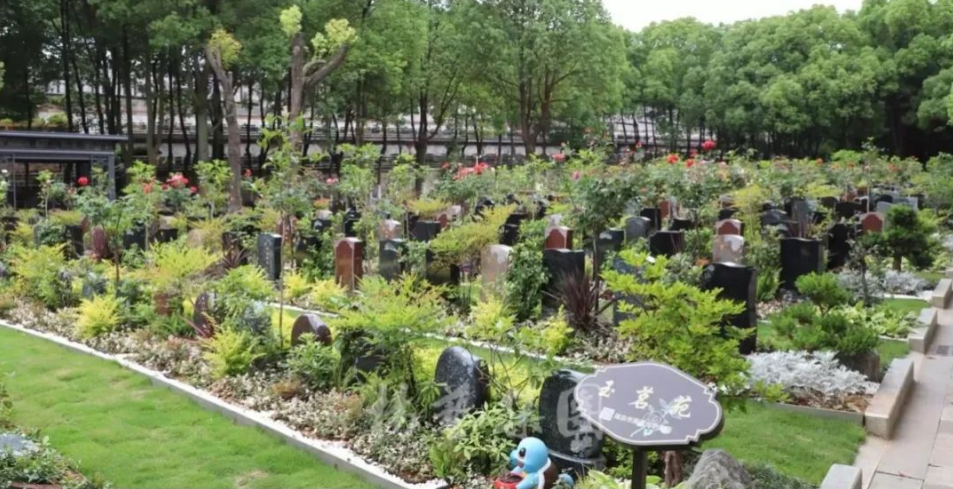 BC贷·(中国游)官方网站