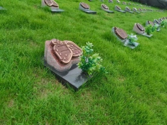 BC贷·(中国游)官方网站