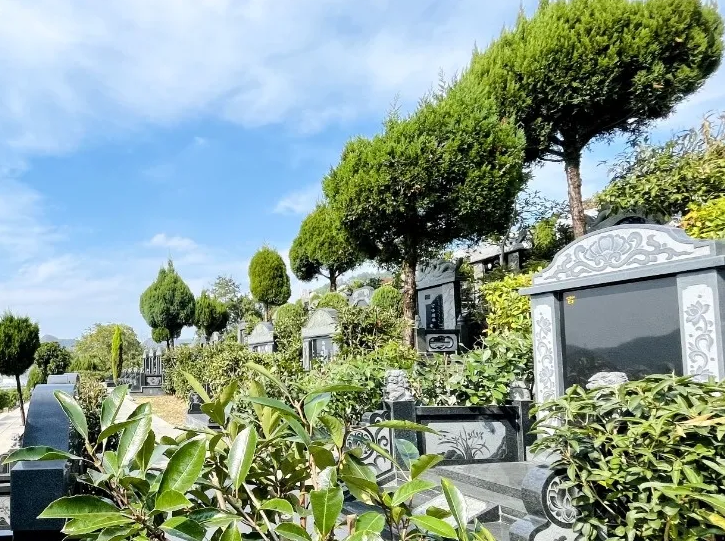 BC贷·(中国游)官方网站