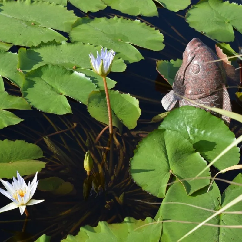 BC贷·(中国游)官方网站