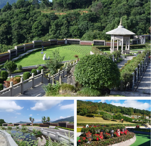 BC贷·(中国游)官方网站