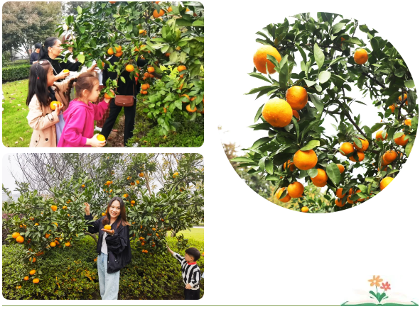 BC贷·(中国游)官方网站