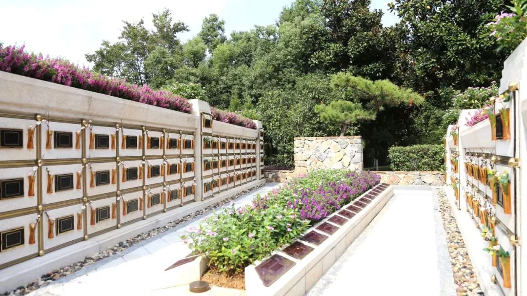 在合肥大蜀山文化陵园，，，，，，，与生命温柔对话