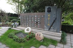 致敬“平安卫士”，，，，，，，铭刻“刑警之魂”