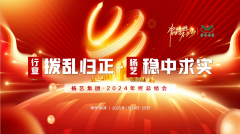 【行业:拨乱归正 BC贷:稳中求实】BC贷集团2024年终总结会圆满收官