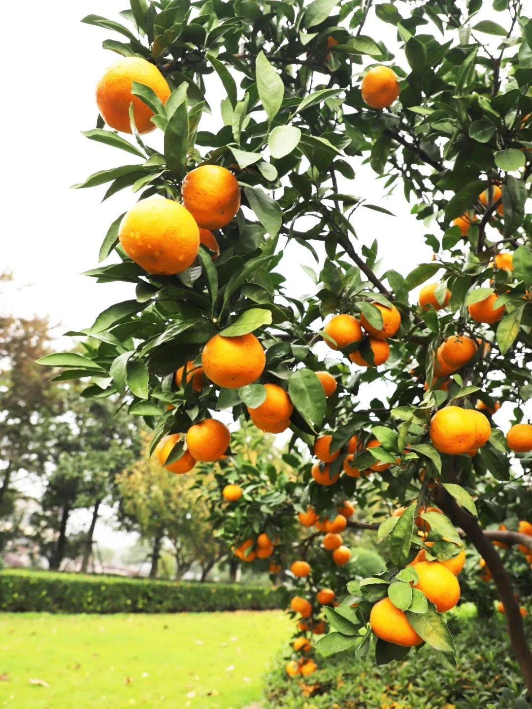 BC贷·(中国游)官方网站