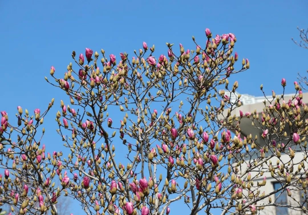 BC贷·(中国游)官方网站