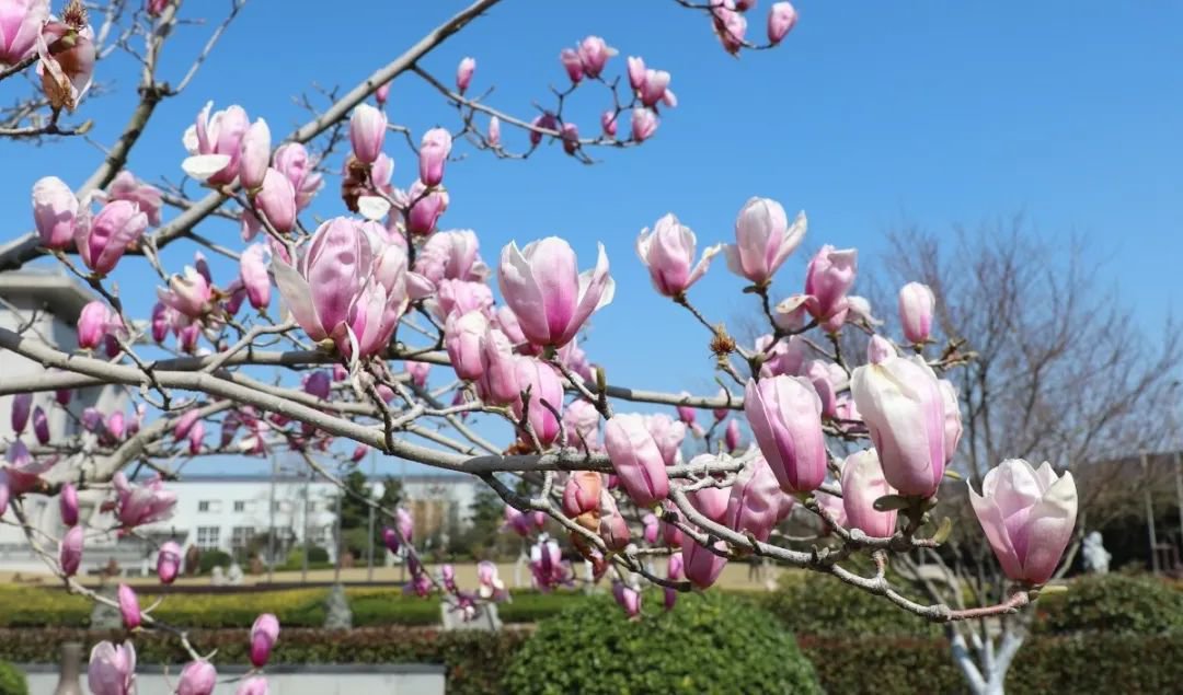 BC贷·(中国游)官方网站