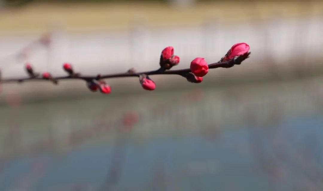 BC贷·(中国游)官方网站