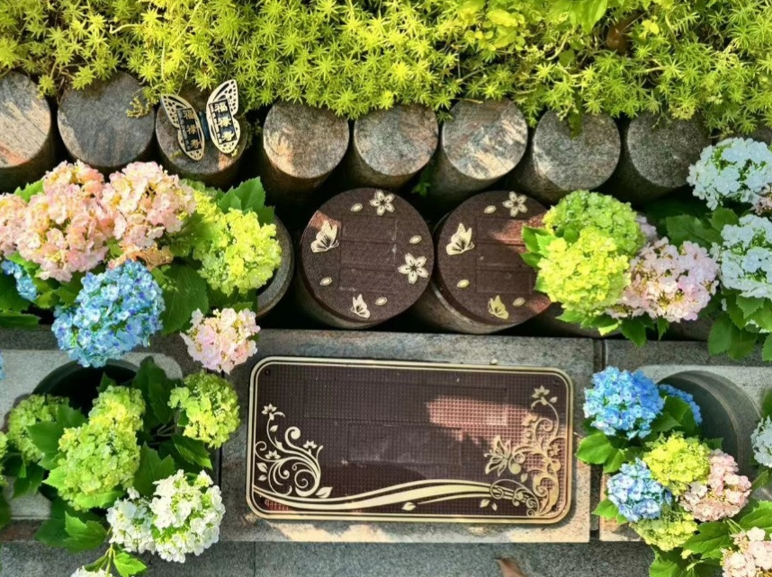 BC贷·(中国游)官方网站