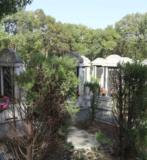 BC贷·(中国游)官方网站