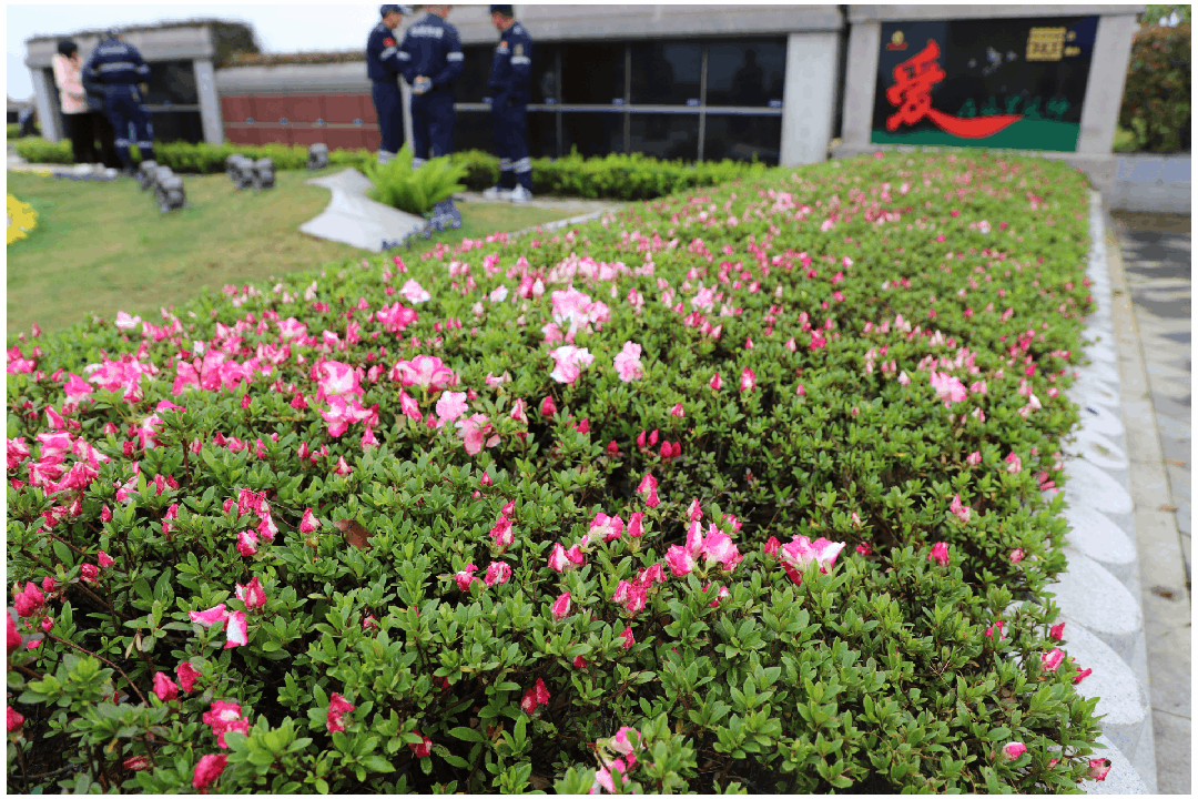 BC贷·(中国游)官方网站