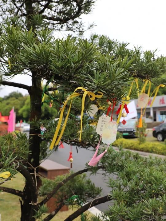 BC贷·(中国游)官方网站