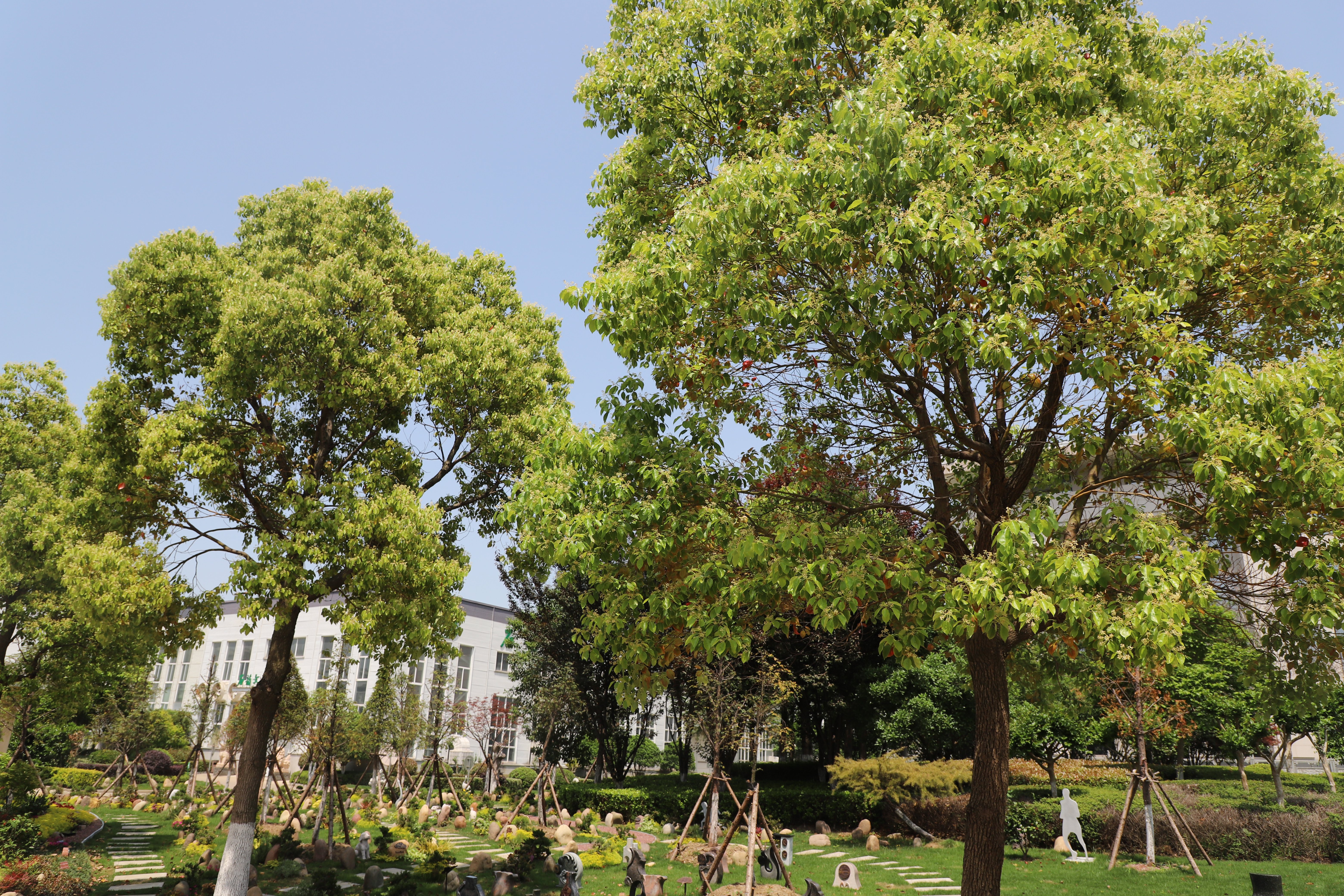 BC贷·(中国游)官方网站