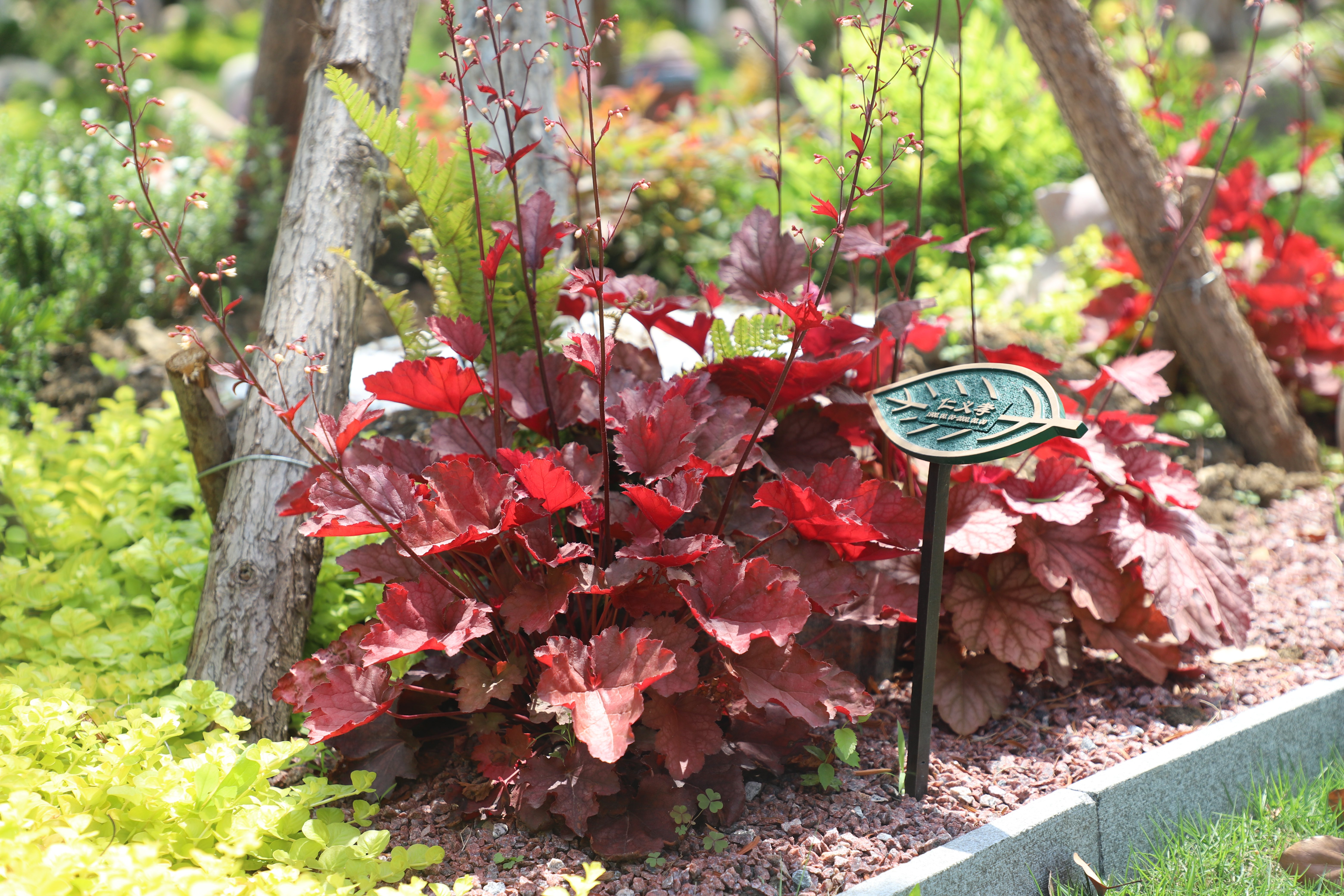 BC贷·(中国游)官方网站