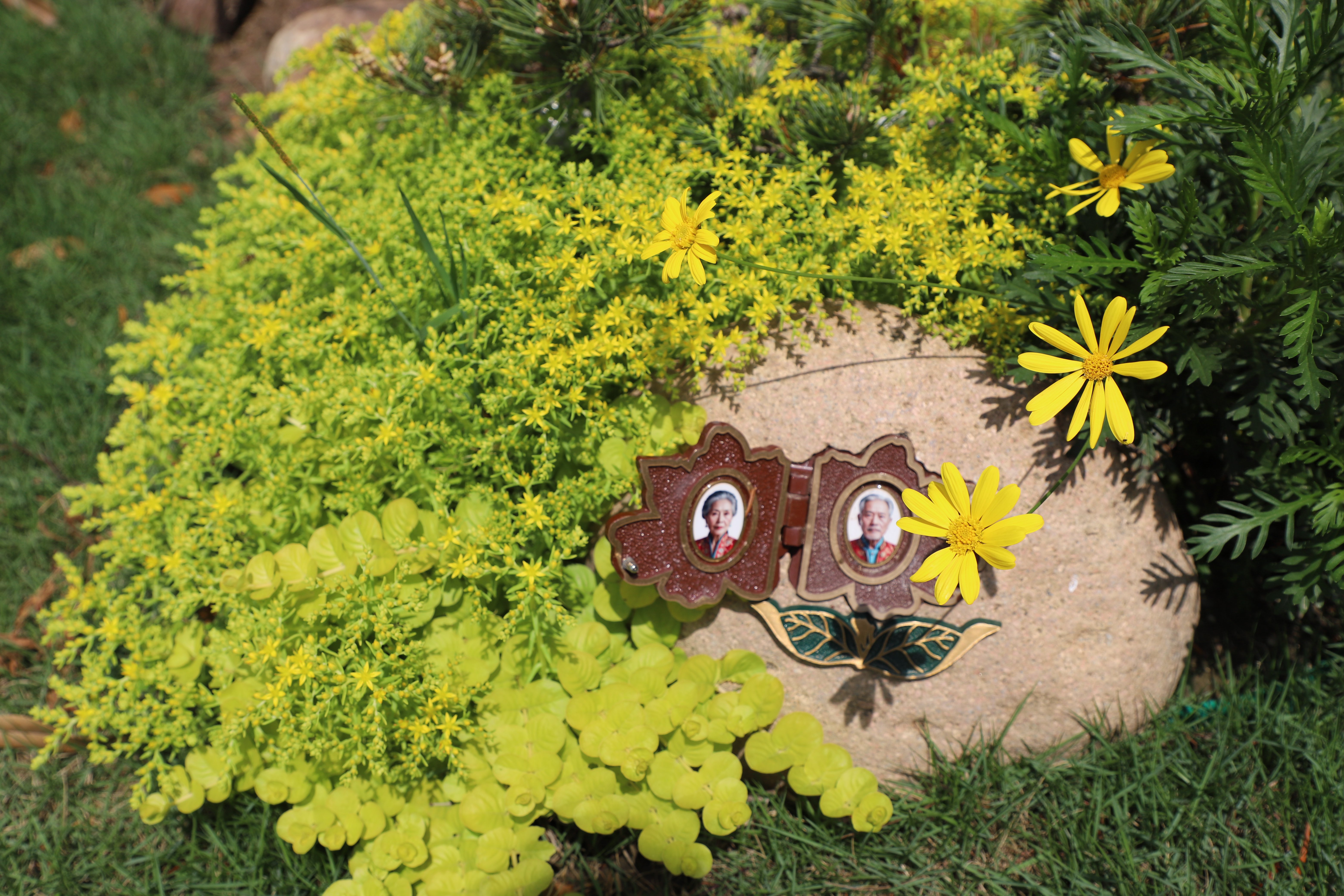 BC贷·(中国游)官方网站