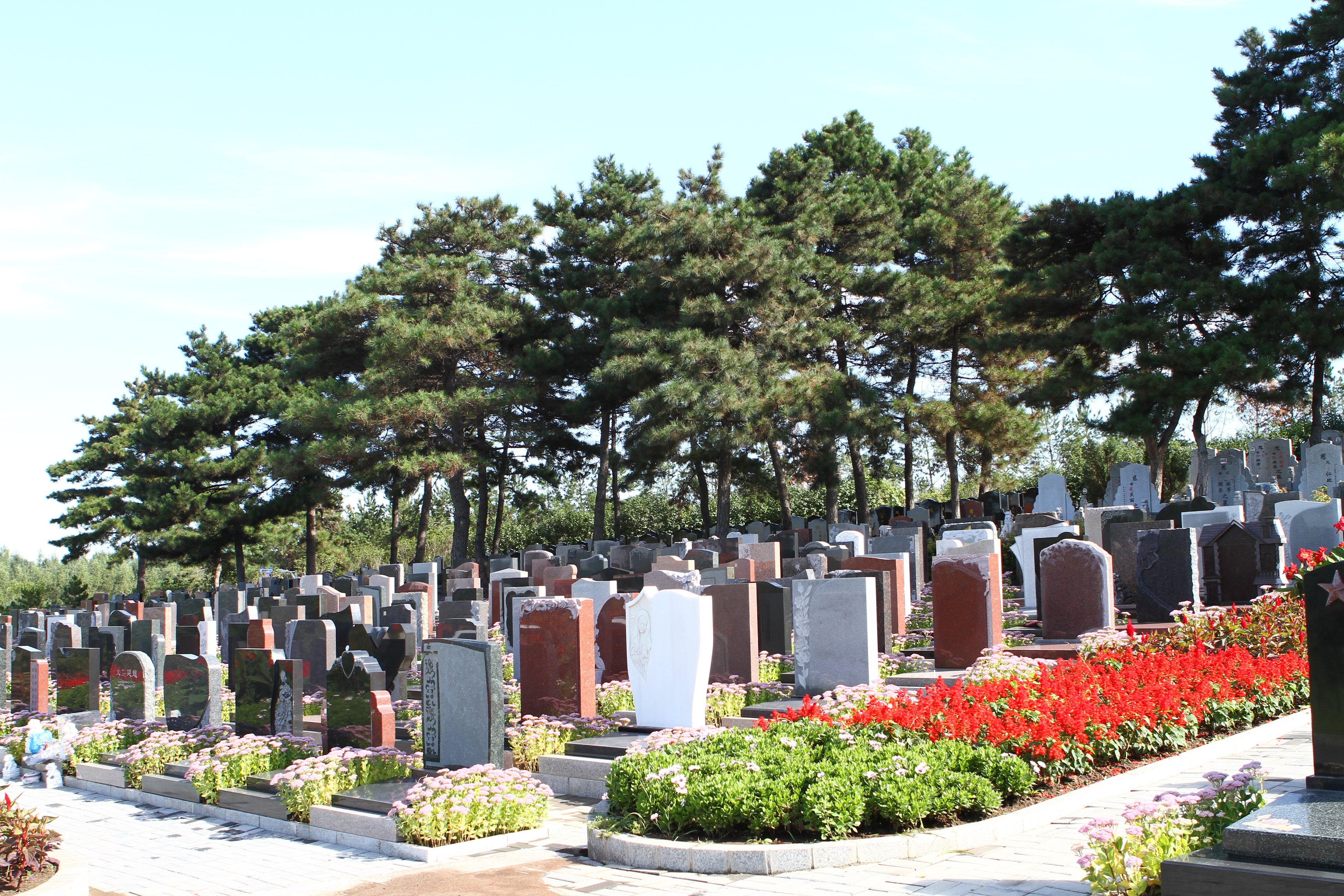 BC贷·(中国游)官方网站