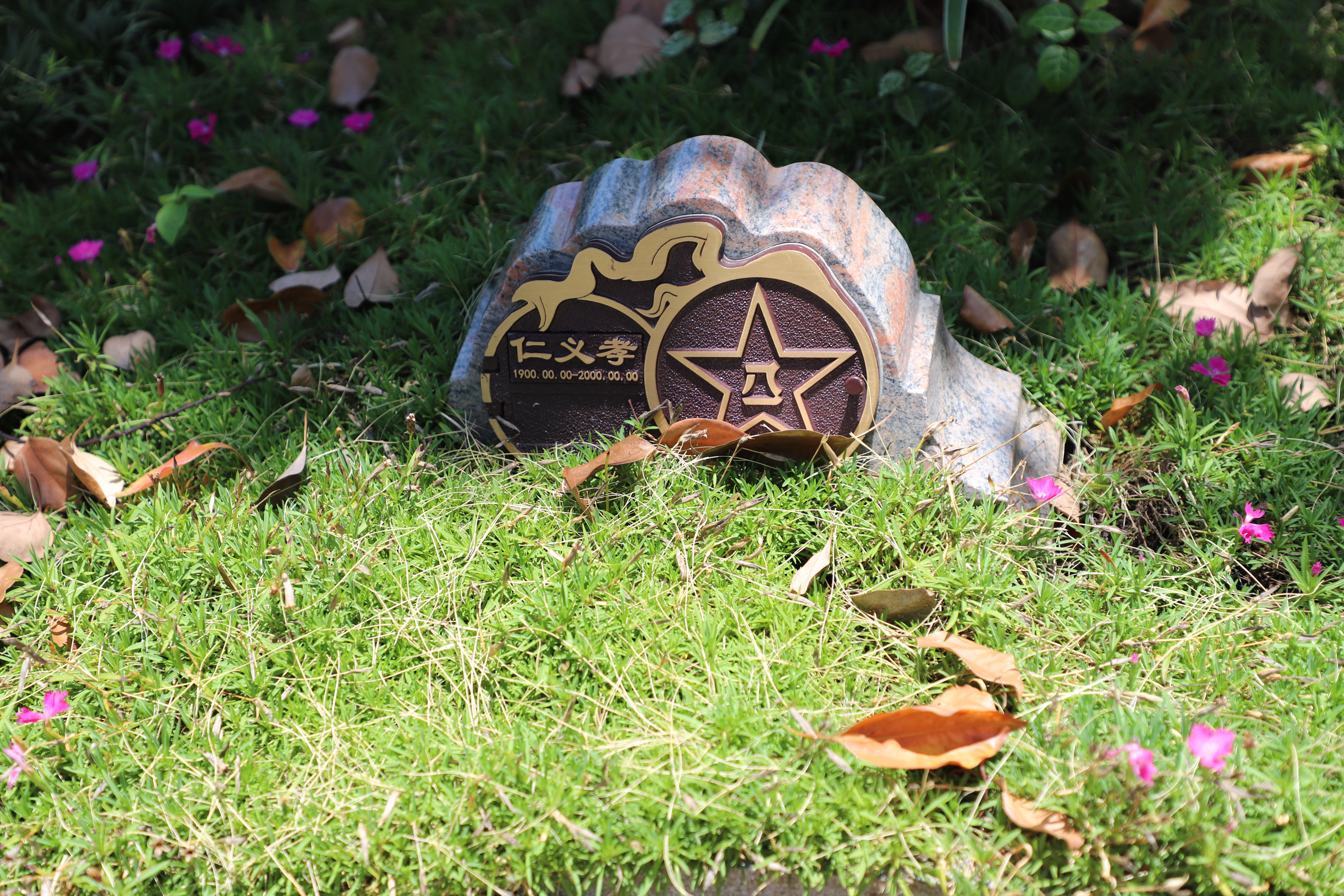 BC贷·(中国游)官方网站