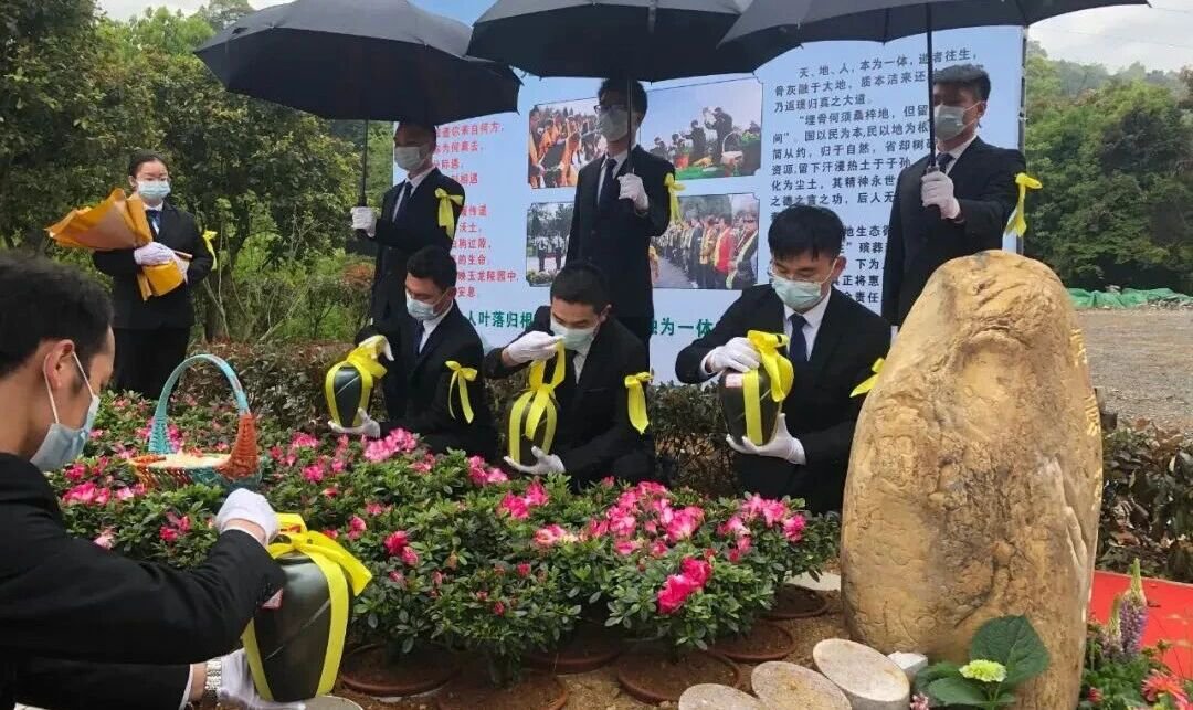 BC贷·(中国游)官方网站