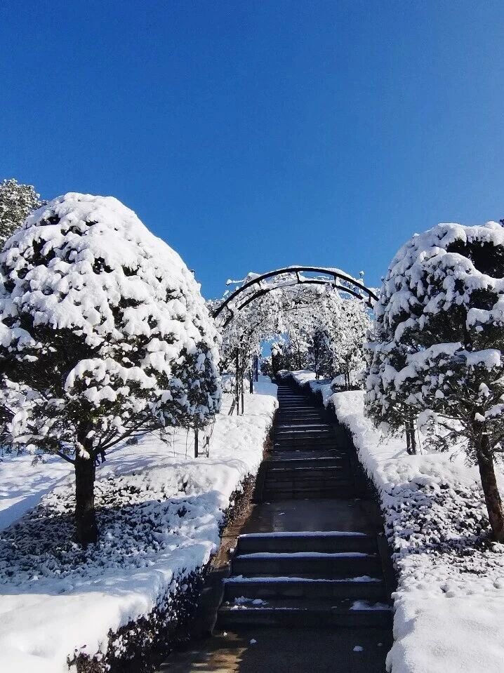 BC贷·(中国游)官方网站