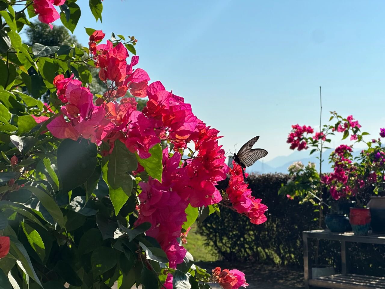 BC贷·(中国游)官方网站