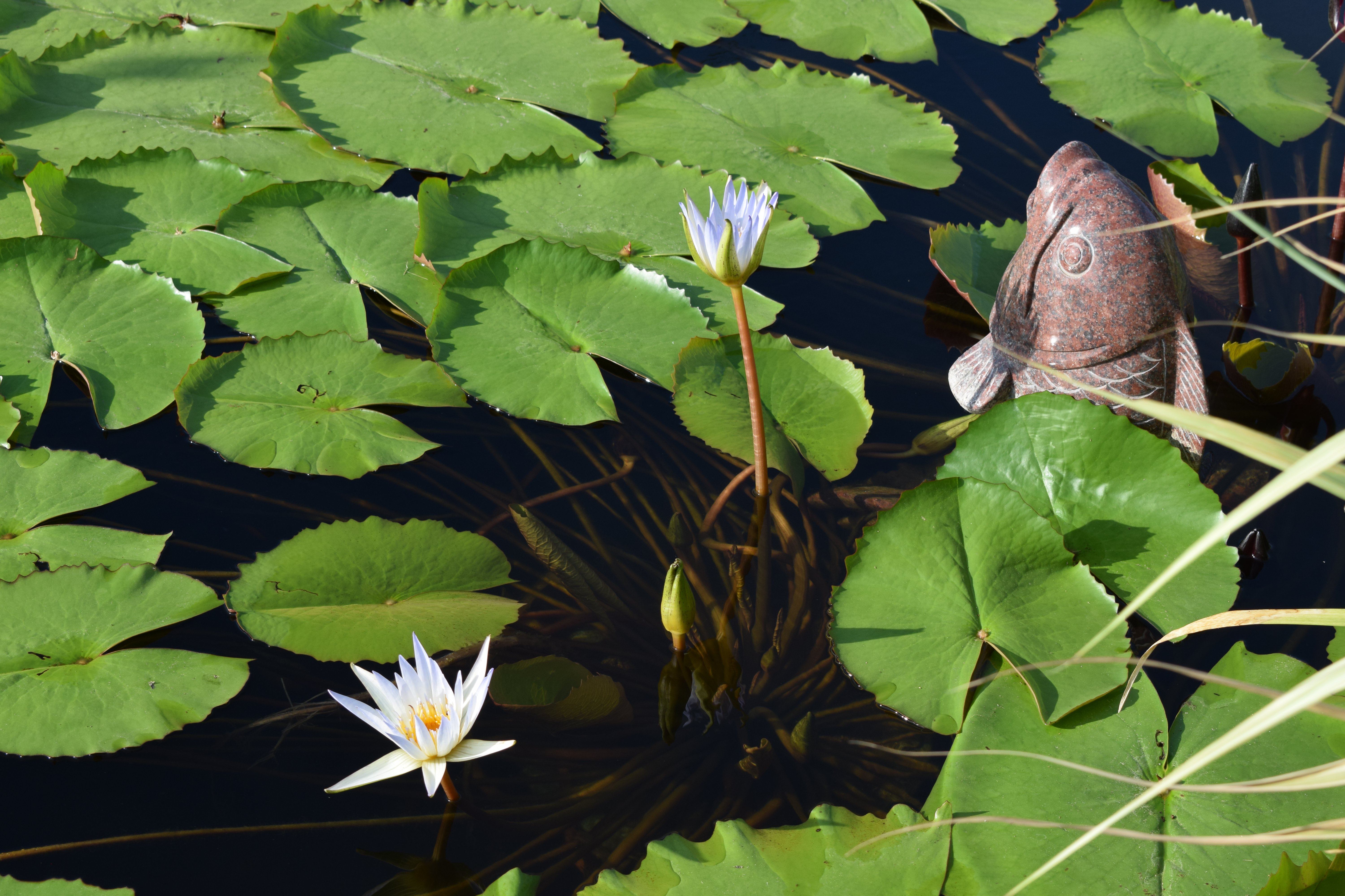 BC贷·(中国游)官方网站