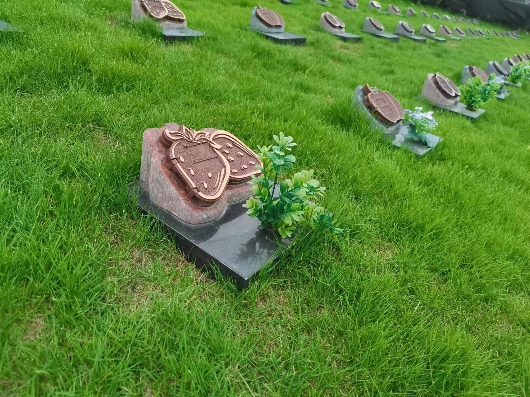 BC贷·(中国游)官方网站