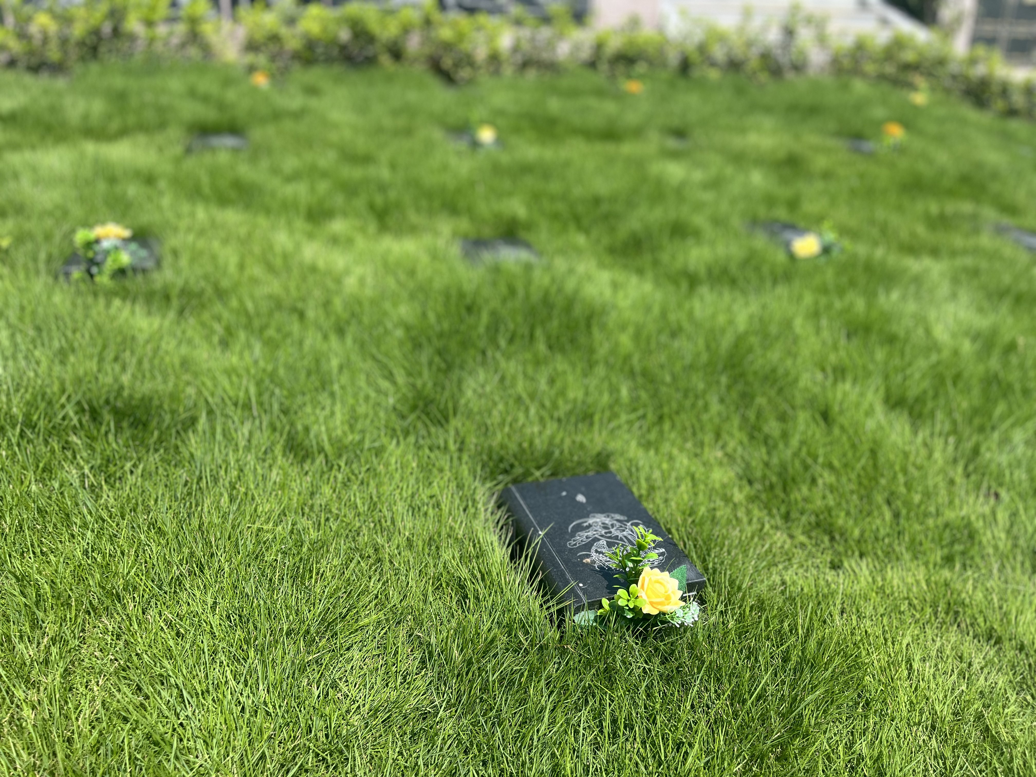 BC贷·(中国游)官方网站