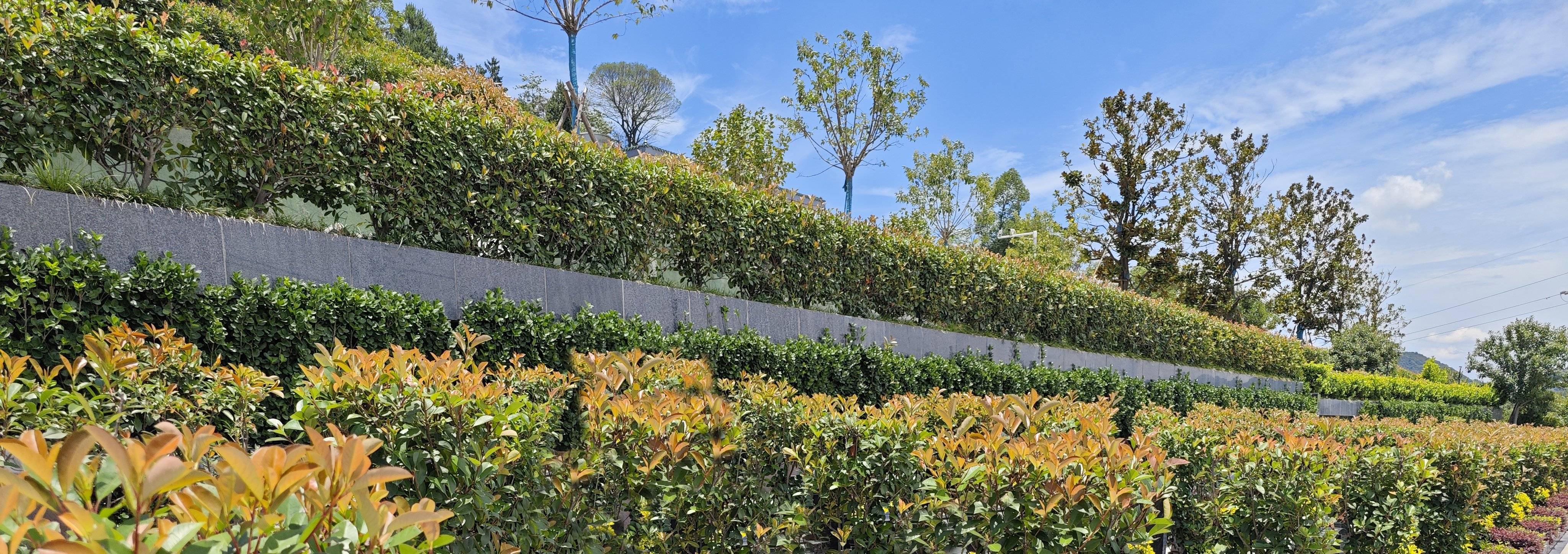 BC贷·(中国游)官方网站